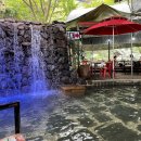 이집이 좋겠네 이미지