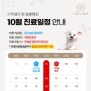 스무살의꿈 동물병원 이미지