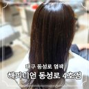덕영빌딩 | 동성로미용실 염색 컬러 잘잡아주는 해피니언 대구동성로4호점 방문 후기