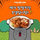 땅땅치킨 시선뉴스
