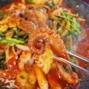 쭈꾸미도사 이미지