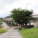 (구)김화교 티스토리
