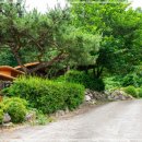 무릉도원자연펜션 이미지