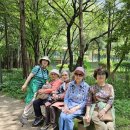 서울숲5 이미지