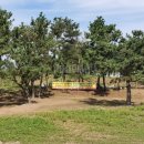 죽도대나무마을영어조합법인 이미지