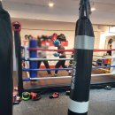 피노키오복싱 이미지