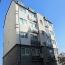 새꽃로(1) 이미지