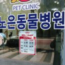 노은동물병원 이미지