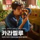 악동강아지 | 넷플릭스 영화 카라멜루 뜻과 줄거리 정보 관람평 리뷰 후기 브라질 감성