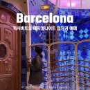 골드나이트 | 까사바트요 입장권 내부 카사바트요 매직나이트 골드 티켓 후기