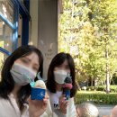 초당약국 이미지