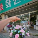이충용「스승달」 | 어버이날 스승의날 부부의날에는 무조건 춘천 봄내꽃화원에서 꽃선물 해야해요