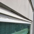 팽성송화로 이미지