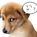 찰찰 보리식빵 이미지