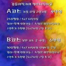 중앙사진관 | 강릉여행, 셀프사진관 이작가야 중앙시장 후기