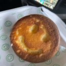 숲속애견샵 이미지