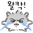 와작와작 이미지