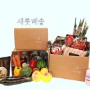 새벽마켓21 이미지