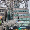 B&A 복싱클럽 이미지