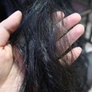 (주)뉴트리글로우