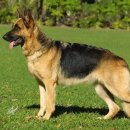 경희대남한의원 이미지