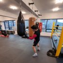 팀엑스복싱 이미지