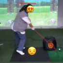 SJ브라보골프 이미지