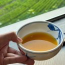 세븐일레븐 고운11단지점 | 경주 한정식 맛집 산드레 초록색 논뷰 보며 힐링하는 백복령 코스요리 후기