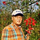문산자유시장 이미지
