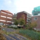 문화동010 이미지