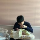 삼성제일의원 | 프라우 삼성산부인과 제왕절개 입원후기