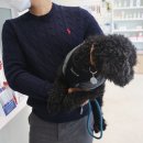 다움동물병원 이미지