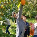 가정 농촌체험 휴양마을 이미지