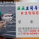 오리랑꼬꼬랑 이미지
