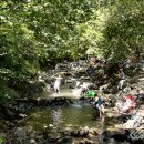 성주산자연휴양림 이미지