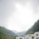 뮤지엄 스테이 이미지