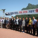 통일태양광발전소 이미지