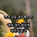 마음을 다스리는 글 Daum카페