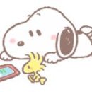 삼척해수욕장 이미지