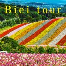 럭셔리 | 일본 홋카이도 여행 여름 비에이 투어 추천 소규모 럭셔리 후기