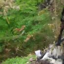 산속텃밭 이미지