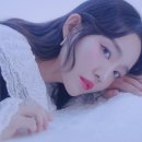 윤하플라워