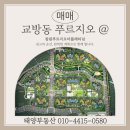 교방동128 이미지