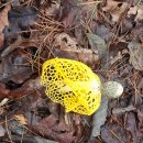 한강 봉미분맥 4구간 모곡리~265.1봉~형제봉~모곡로~426봉~559.4봉~왕터산 왕복~깃대봉(561봉)~송산리 이미지