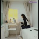 스테이 청춘 이미지