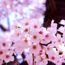 중인초등학교 이미지