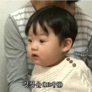 애기야 이미지
