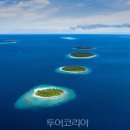 한국렌트카㈜ 이미지