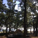 솔향기약국 이미지