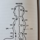 참조자연치유 이미지